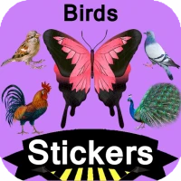 Birds Stickers