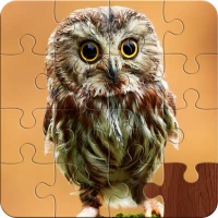 Amazing Birds - Jigsaw Puzzles