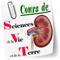 Cours de SVT