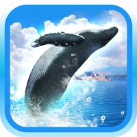 REAL WHALES Find the cetacean!