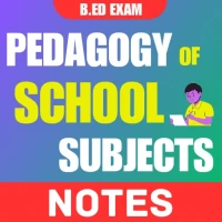 Pedagogy of School Subject