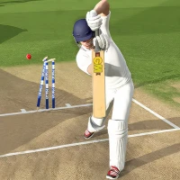 Cricket Bat Ball Game 3D 2024