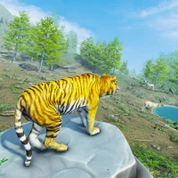 Wild Tiger Simulator Animal 3D