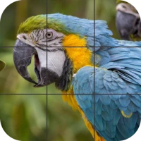 Birds Jigsaw Puzzle