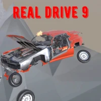 Real Drive 9