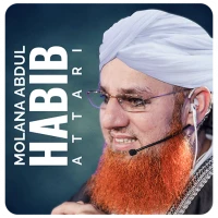 Maulana Abdul Habib Attari