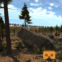 VR Forest Relaxation 1