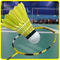 Badminton Star Premier League