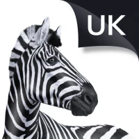 Investec UK