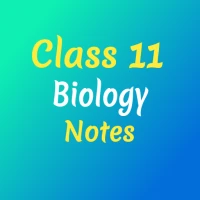 Class 11 Biology Notes