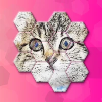 Cats Jigsaw! - Hexa Puzzle