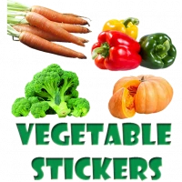 Vegetable Stickers