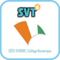 Cours SVT 6ème Année Collège