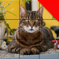 Jigsaw Cat Mosaic Puzzles