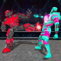 Real Ring Robot Boxing Games