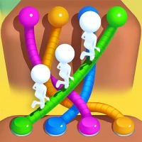 Tangle Bridge Puzzle 3D