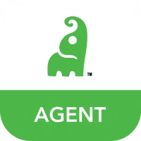 MoMoney Agent