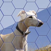 Dogs Jigsaw! - Hexa Puzzle