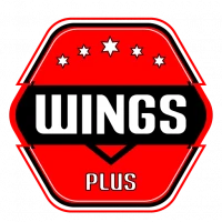 Wing Plus VPN