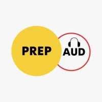 PrepAud: Job Prep & AI