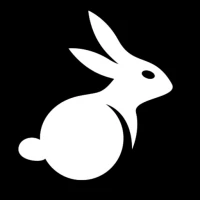 BunnyX VPN