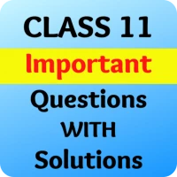 Class 11 Important Questions