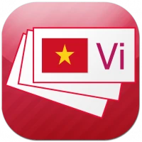 Vietnamese flashcards