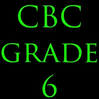 CBC Grade 6 Exam Papers