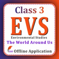 Class 3 EVS: World Around Us