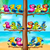 Bird Sort Game: Color Puzzle