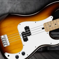 Real Bass electric bass guitar