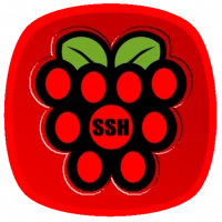 Raspberry SSH Custom Buttons