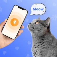 Cat Translator - Human to Cat