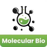 Molecular Biology Quick Notes