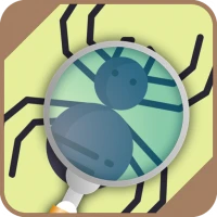 Automatic spider identifier