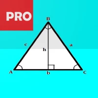 Triangle Calculator and Solver