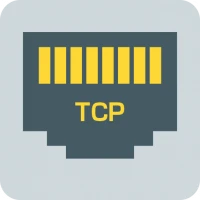 TCP Client