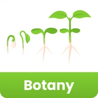 Botany Quick Notes