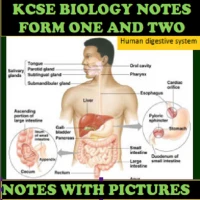 Form 1 And 2 Biology Notes