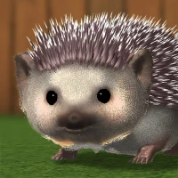 My Hedgehog