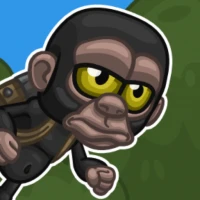 Jet Monkey