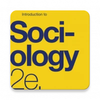 Introduction to Sociology Book