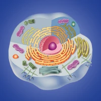 Cell biology