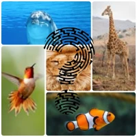 Animals Quiz - Think and Learn