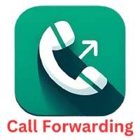 Call forwarding - Call Divert