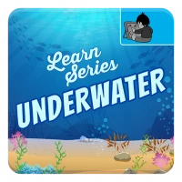 Underwater Sea Life for Kids