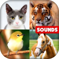 Animal Sounds: With Images