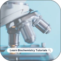 Learn Biochemistry Tutorials