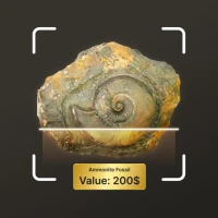 Fossil Identifier