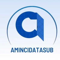 Amincidatasub